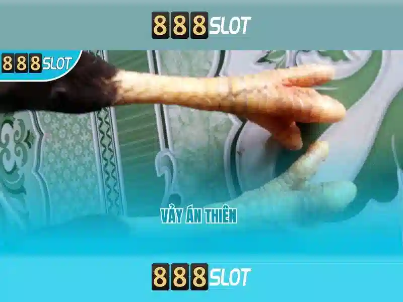 💎video slots ボーナス 初回💎