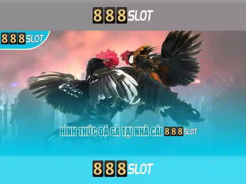 💎nhà cái ceo666💎