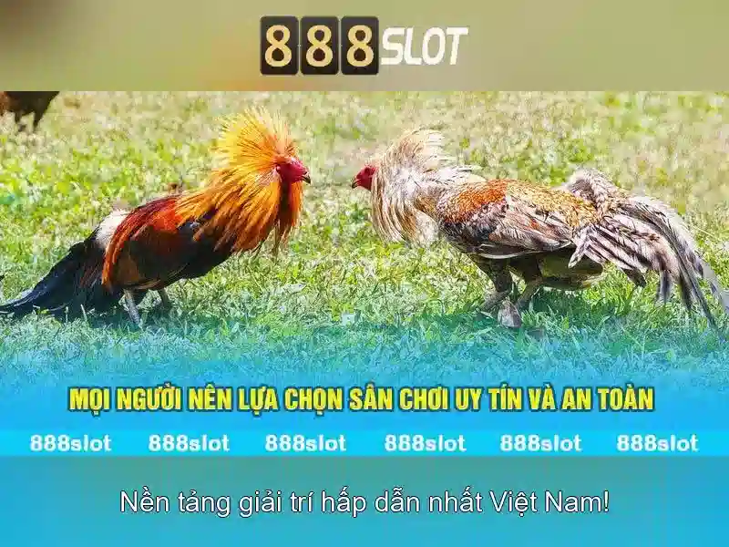 💎kèo nhà cái trực tiếp wtf💎